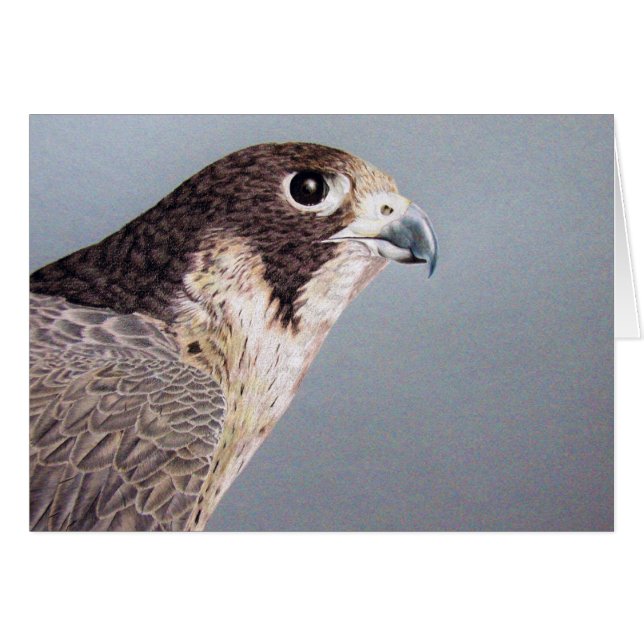 Tarjeta Falcon Peregrine (Anverso (Horizontal))