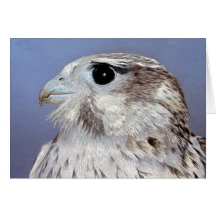Tarjeta Falcon Prairie