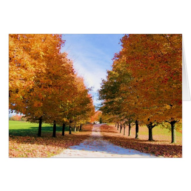 Tarjeta Fall Foliage (Anverso (Horizontal))