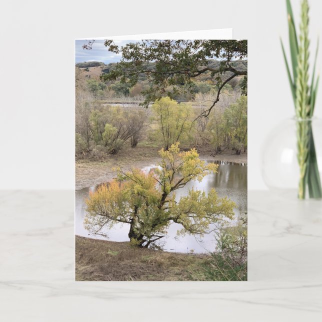Tarjeta Fall Foliage at Good Earth State Park (Anverso)