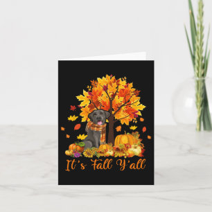 Tarjeta Fall Y'all Labrador Black Lab Halloween Gracias