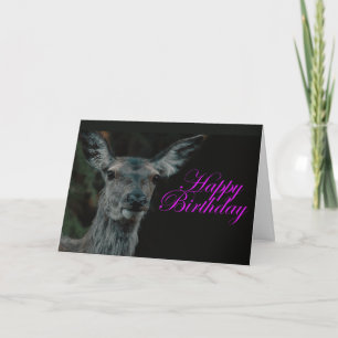 Tarjeta Fallow Deer
