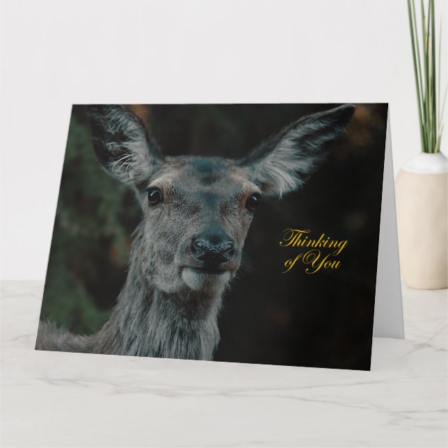 Tarjeta Fallow Deer Get Well Card (Anverso)