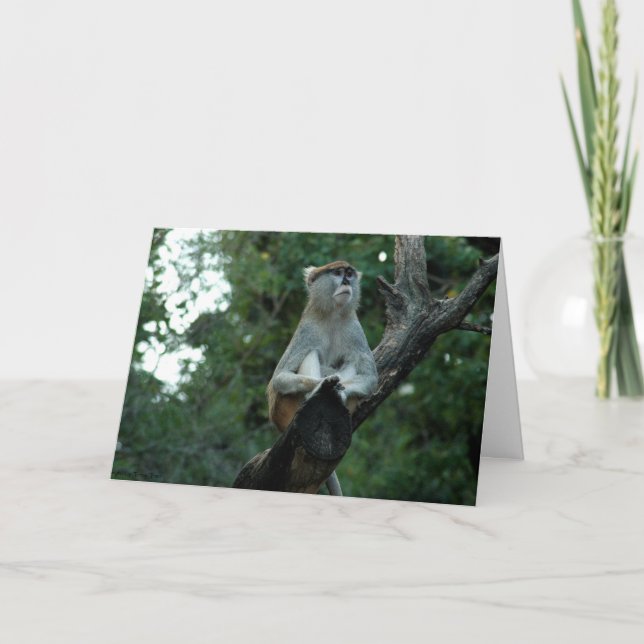 Tarjeta Falta (Anverso)