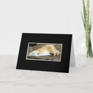 Tarjeta falta de los osos polares usted