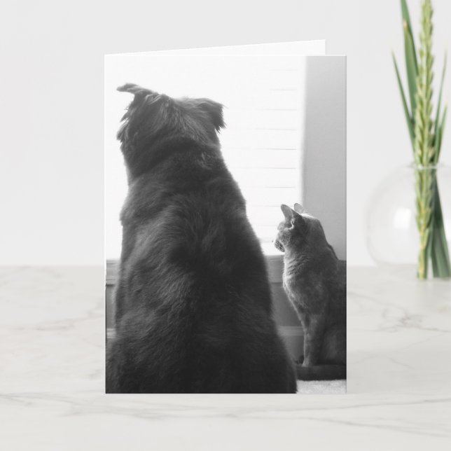 Tarjeta Falta de usted (Anverso)