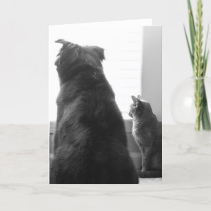 Tarjeta Falta de usted