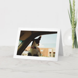 TARJETA FALTA DE USTED