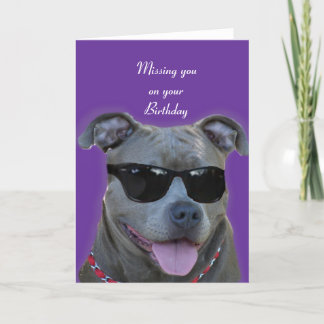 Tarjeta Falta de usted en su pitbull del azul del