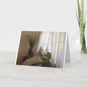 Tarjeta Faltándole…