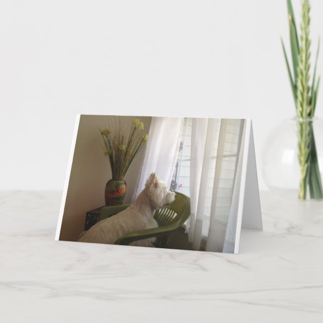 Tarjeta Faltándole… (Anverso)