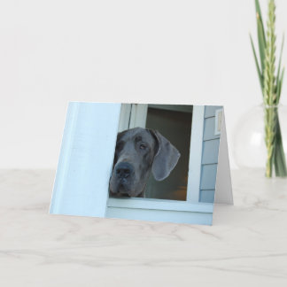 Tarjeta Faltándole carde