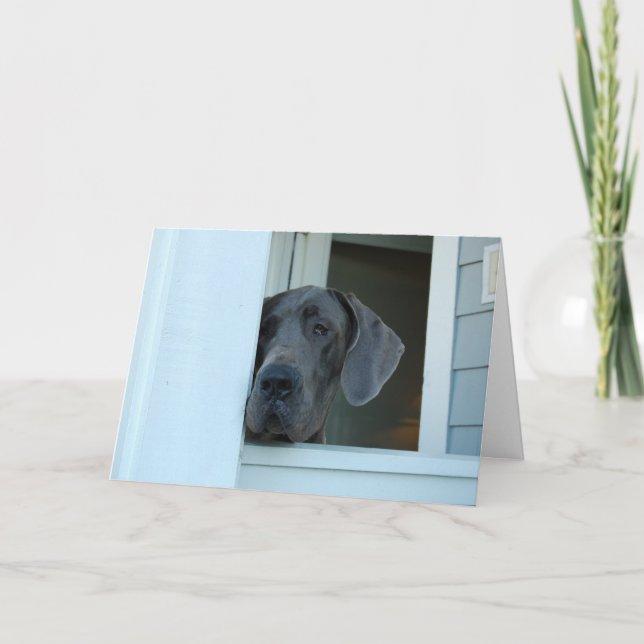 Tarjeta Faltándole carde (Anverso)