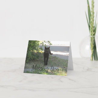 Tarjeta Faltándole gato negro en un jardín