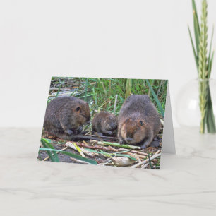 Tarjeta Familia Beaver