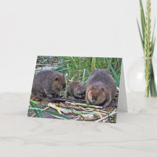 Tarjeta Familia Beaver