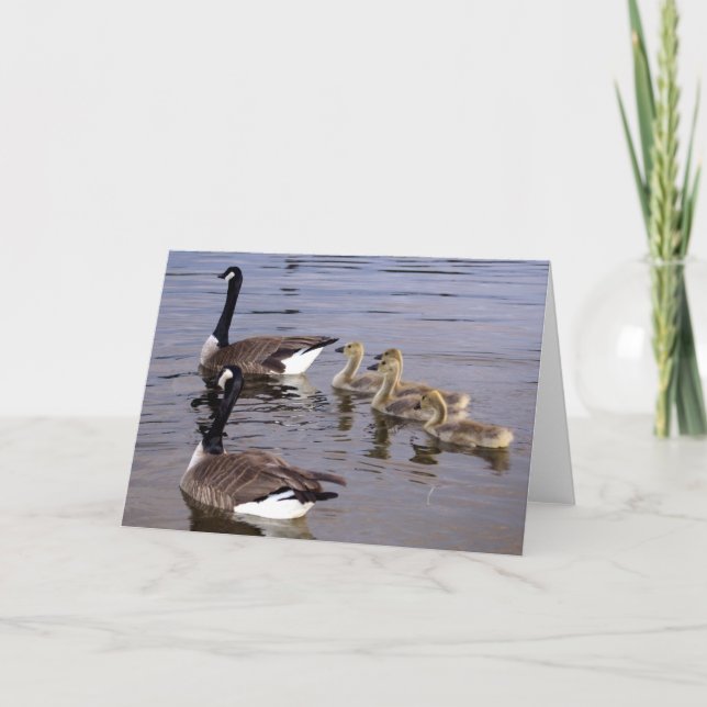 Tarjeta Familia canadiense del ganso (Anverso)