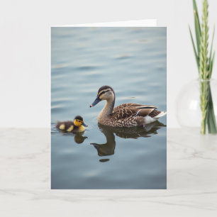 Tarjeta Familia de Aves Acuáticas Mate