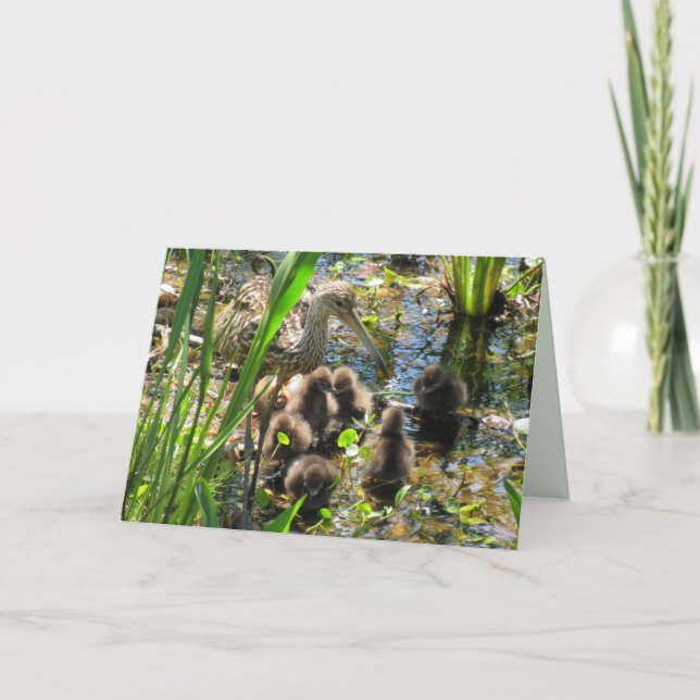 Tarjeta Familia de carrao - Mamá y polluelos - Día de la M (Anverso)