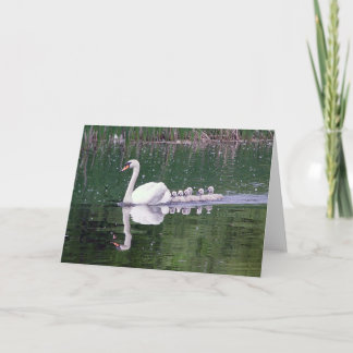 Tarjeta Familia De Cisnes