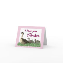 Familia de gansos Nene hawaianos Día de la Madre