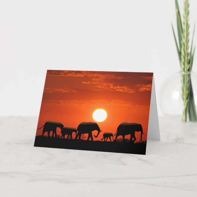 Tarjeta Familia del elefante (Anverso)