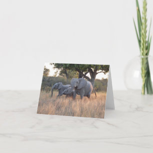 TARJETA FAMILIA ELEFANTE