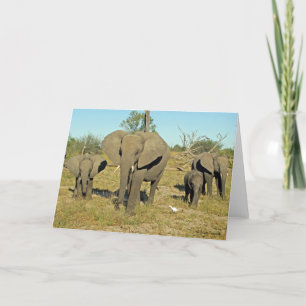 TARJETA FAMILIA ELEFANTE 