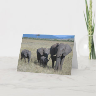 Tarjeta Familia Elephant