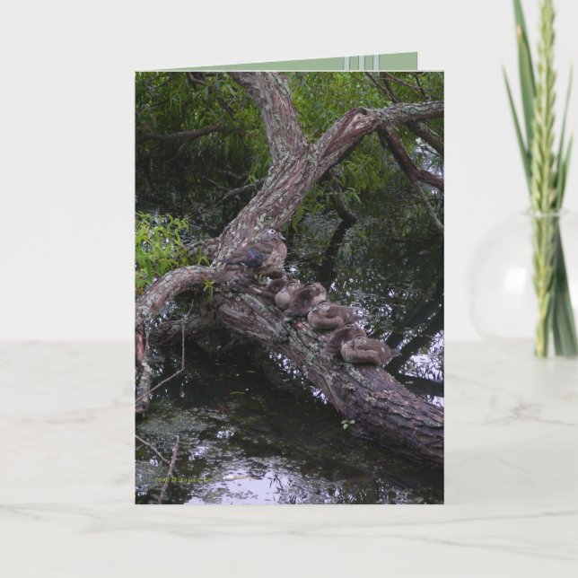 Tarjeta Familia en descanso (Anverso)