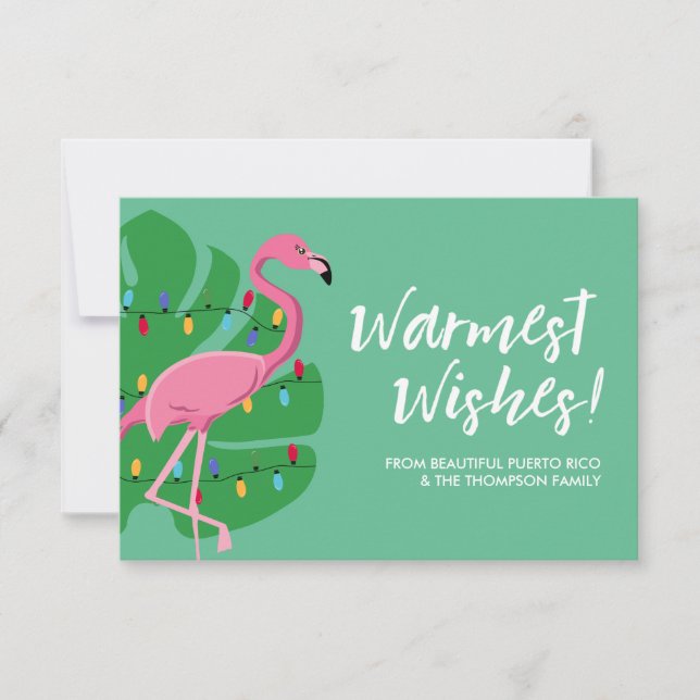 Tarjeta Familia Flamingo Warmest (Anverso)