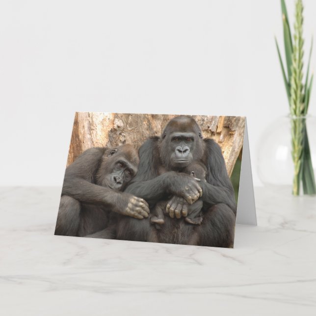 Tarjeta Familia Gorilla (Anverso)