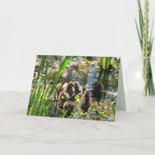 Tarjeta Familia Limpkin - Mamá y Chicas - Día de la Madre