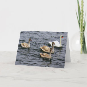 Tarjeta Familia Swan