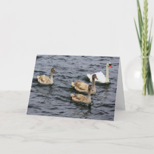 Tarjeta Familia Swan