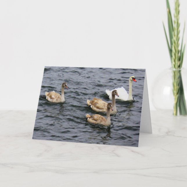 Tarjeta Familia Swan (Anverso)
