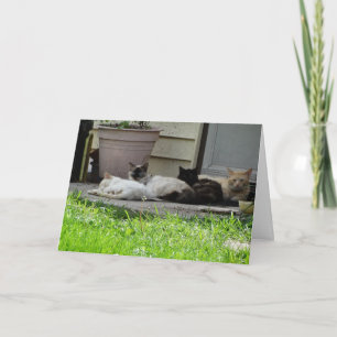 Tarjeta Familia y amigos hacen que la vida valga la pena v