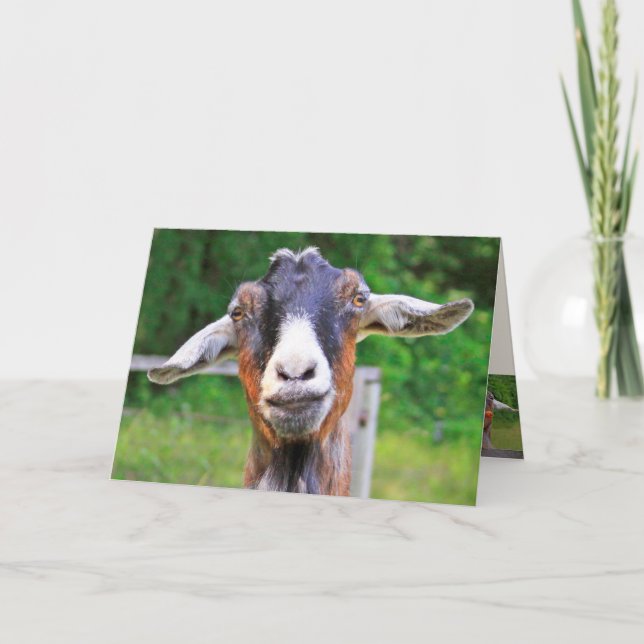 Tarjeta Famoso cumpleaños de cabra (Anverso)