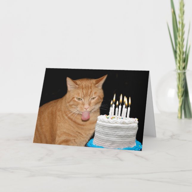 Tarjeta Famoso cumpleaños de gatitos (Anverso)