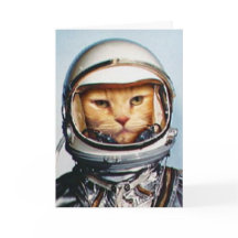 Famoso cumpleaños de "Gato espacial"