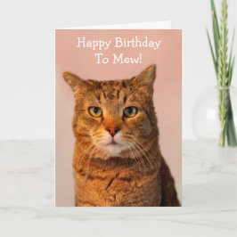 Tarjeta Famoso cumpleaños del gato Chistes