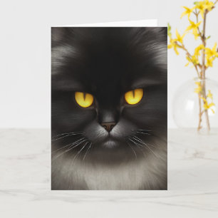 Tarjeta Famoso Gato Gato Gatito Gatito Negro Y Furioso