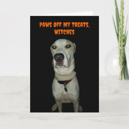 Tarjeta Famoso perro espantado me sacó los trajes de Hallo