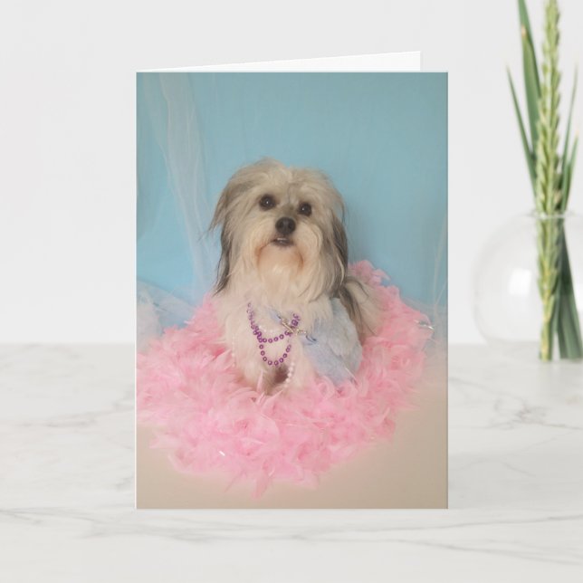 Tarjeta Fancy Dog Birday Card (Anverso)