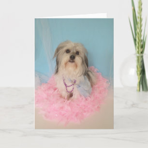 Tarjeta Fancy Dog Birday Card