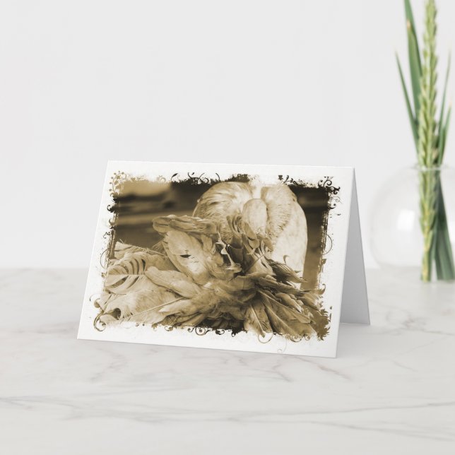 Tarjeta Fantail Pigeon (Anverso)