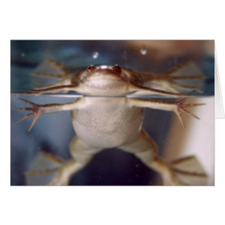 Tarjeta fantasma de muchas piernas