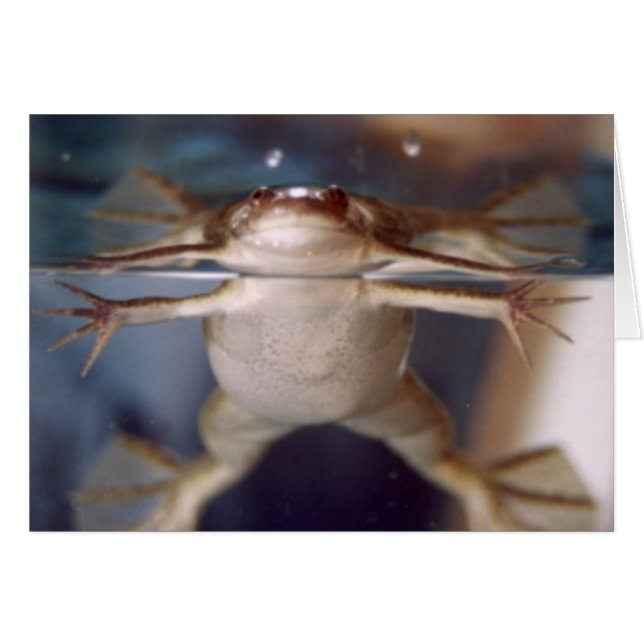 Tarjeta fantasma de muchas piernas (Anverso (Horizontal))