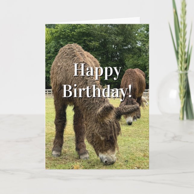 Tarjeta Farm Animal Donkey Cute Barnyard Funny Birthday  (Anverso)