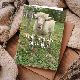 Tarjeta Farm Animal Sheep Cute Barnyard Funny Birthday 